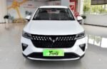 2026 Wuling Alvez– China Export Vehicle | 香港中國汽車