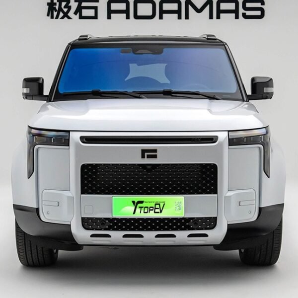 ROX ADAMAS 2026– Factory Price From China | Kereta elektrik China di Brunei