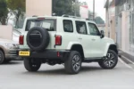 Tank 300 Time Traveler Compact SUV– Buy Direct From China | سيارات صينية مستوردة من الصين إلى العراق