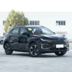 Neta X 500– Buy Direct From China | Chinese Hybrid Cars in Qatar - Image 5