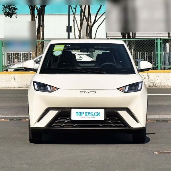 2026 BYD Seagull– China Export Vehicle | ჩინური მანქანები საქართველოში